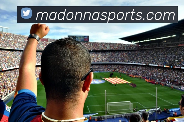 球赛投注平台生态图