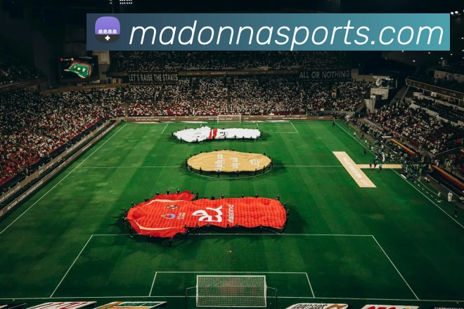 球赛投注APP 封面图